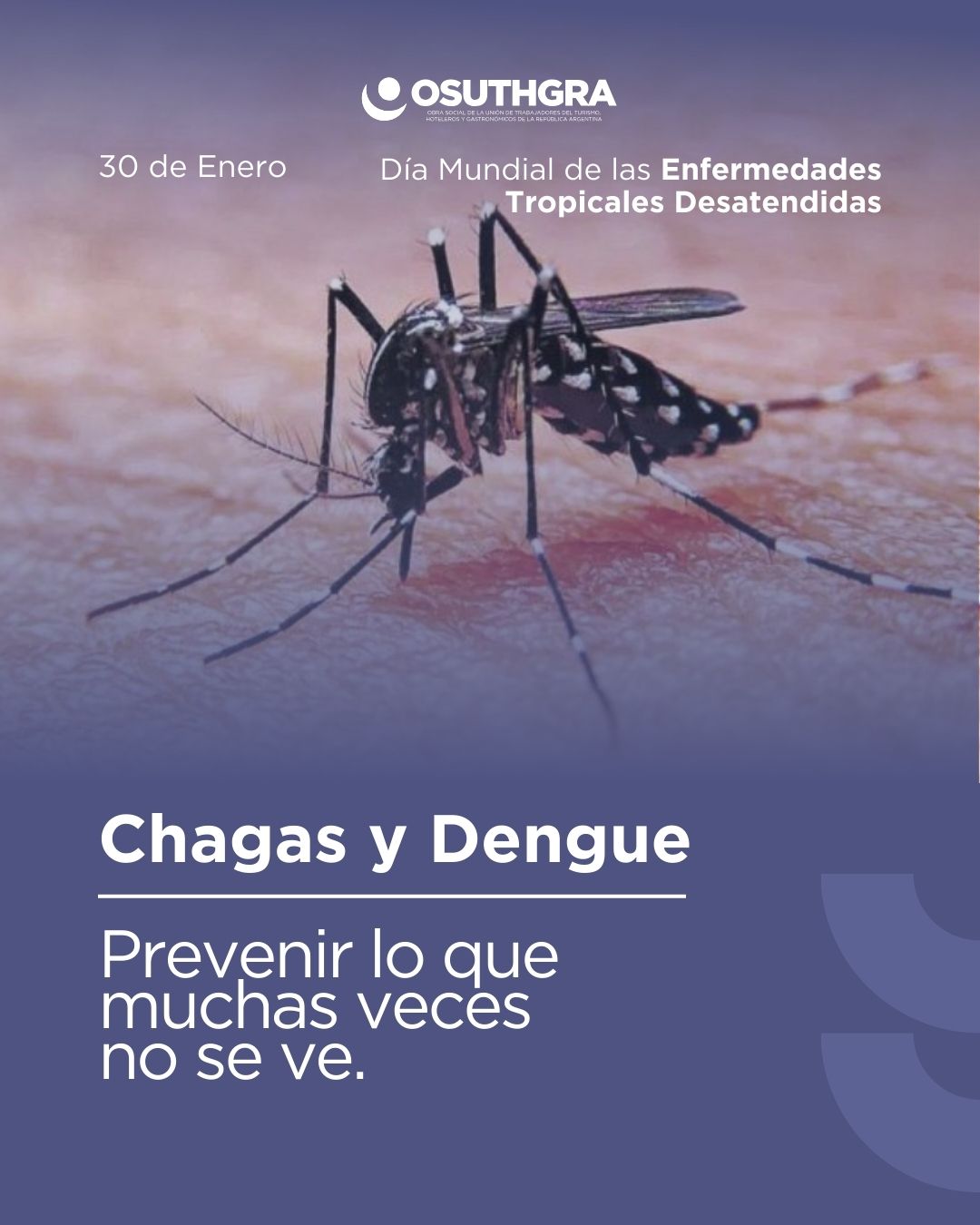 625022534_18036301313758611_181767758265664877_n